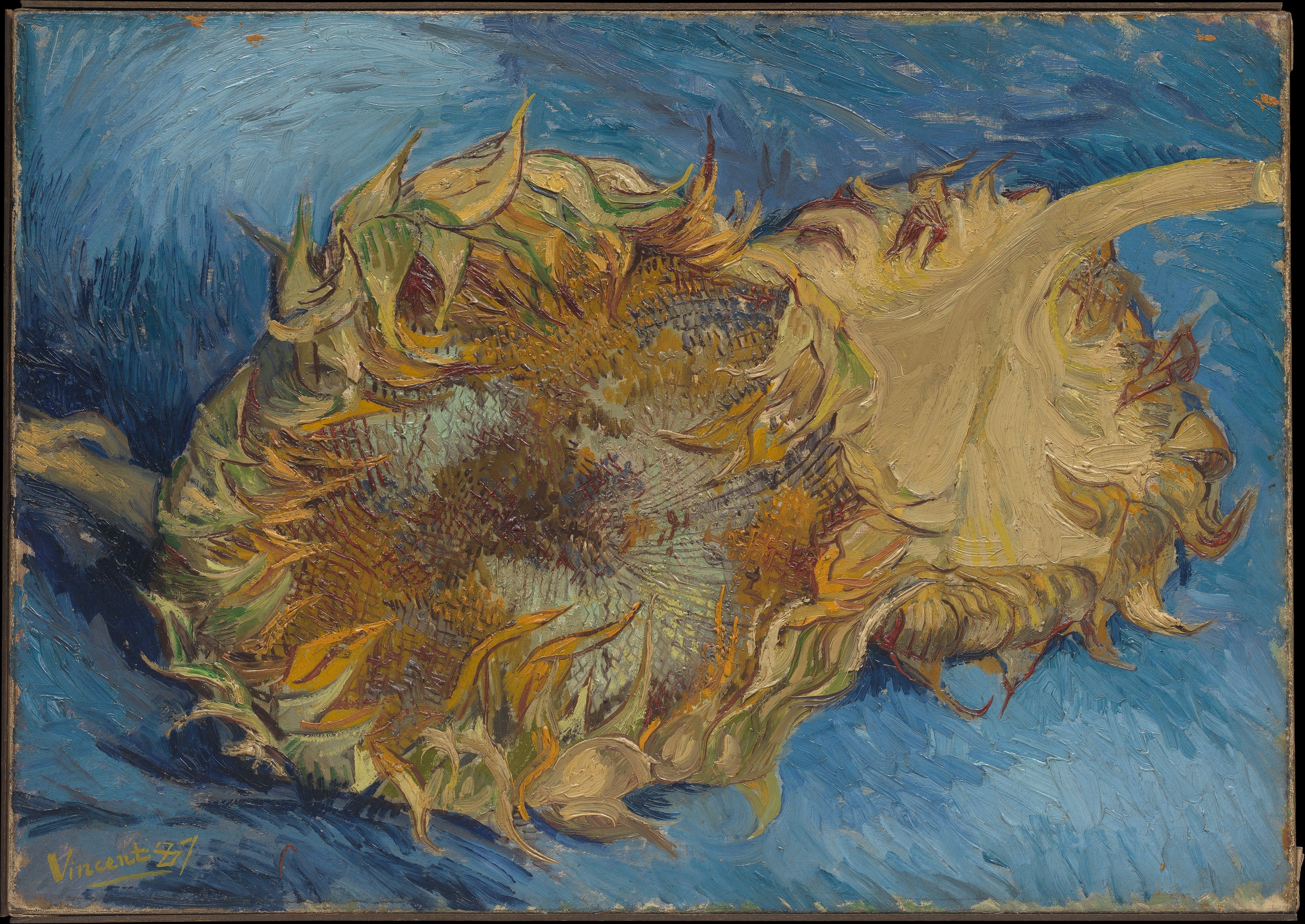 Sunflowers