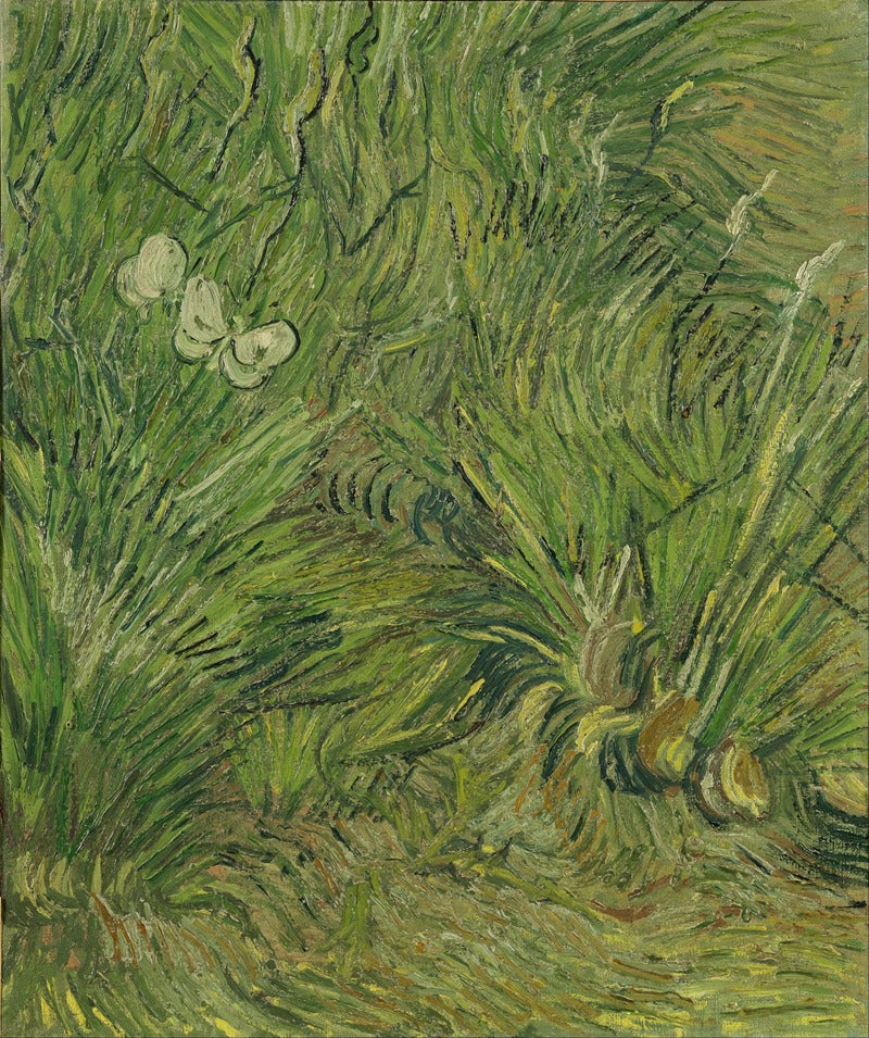 Garden with butterflies