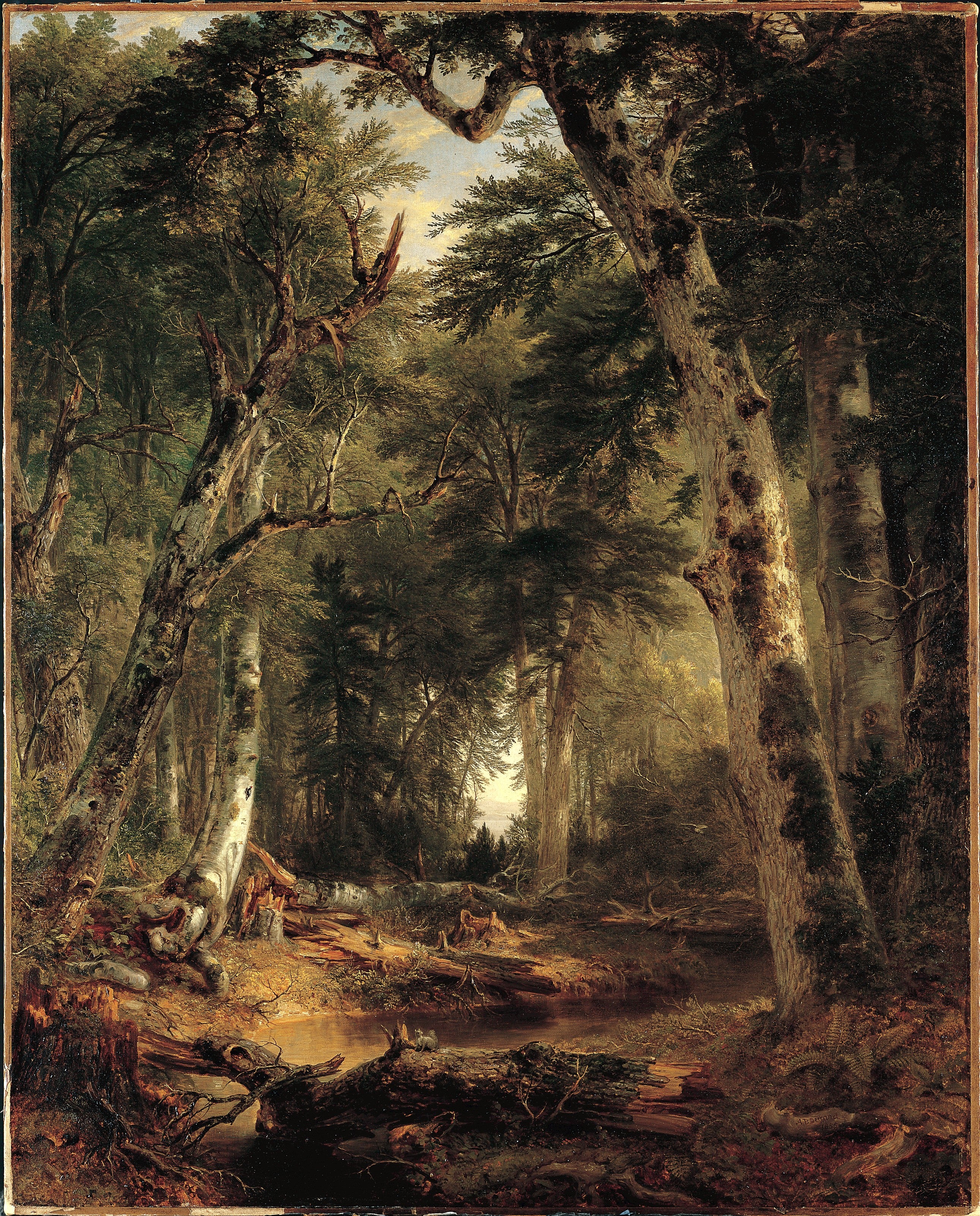 In the Woods