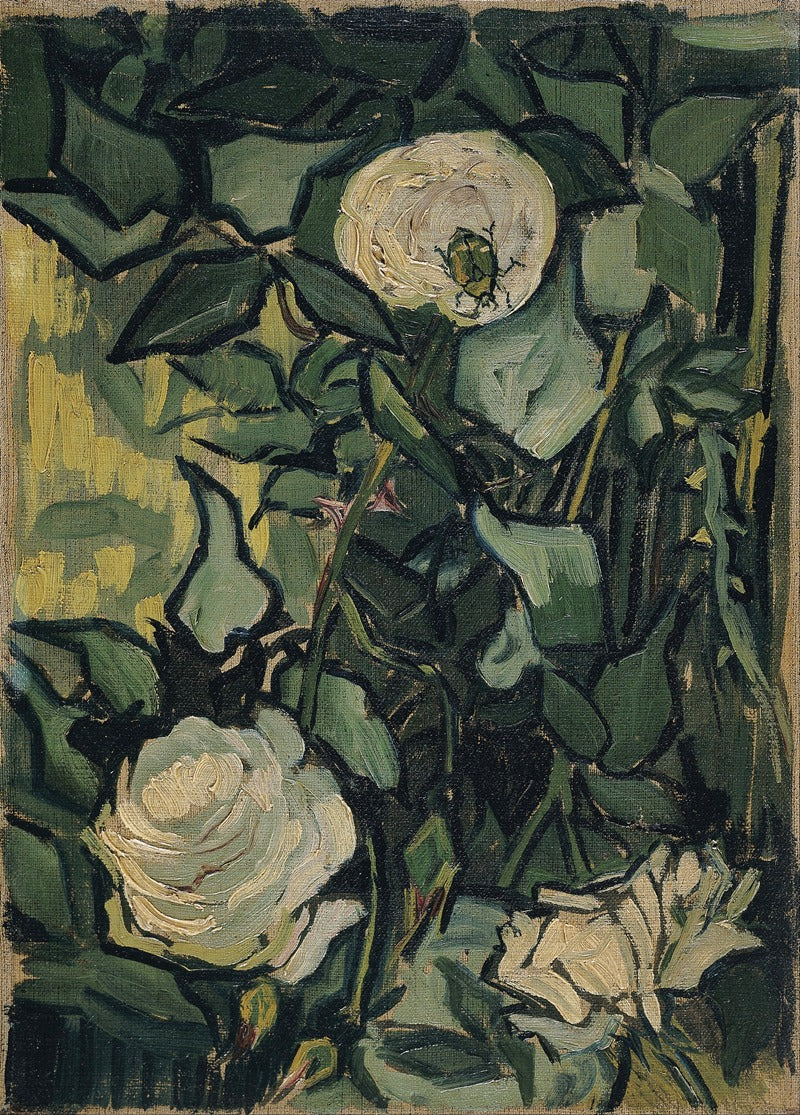 Roses and Beetle