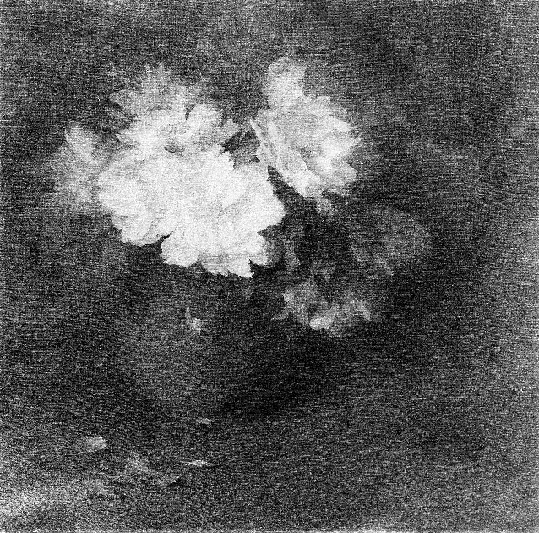 Peonies