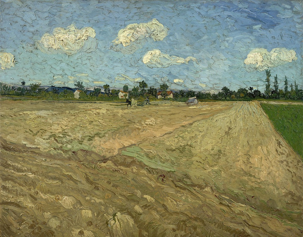 Ploughed fields (‘The furrows’)